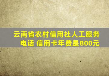 云南省农村信用社人工服务电话 信用卡年费是800元